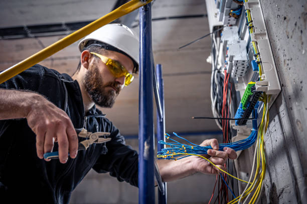 Best Electric Panel Repair  in Ravenswood, WV